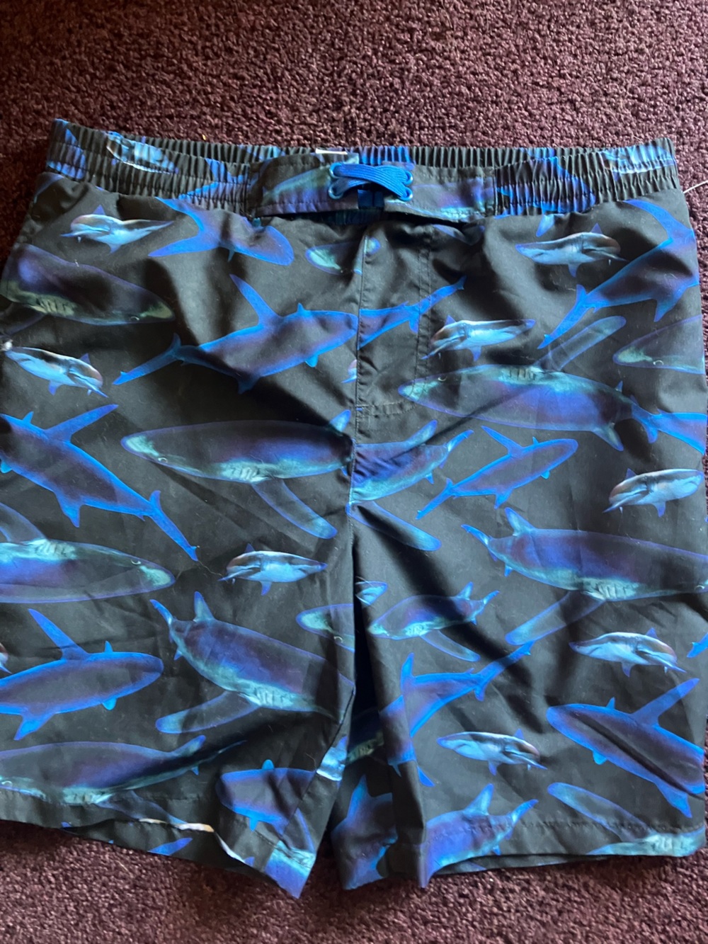 Black/Blue Swim Trunks with Blue Shark Print